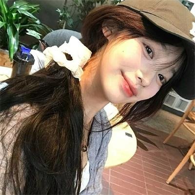 月季花开